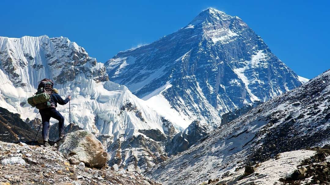 картинка из галереи